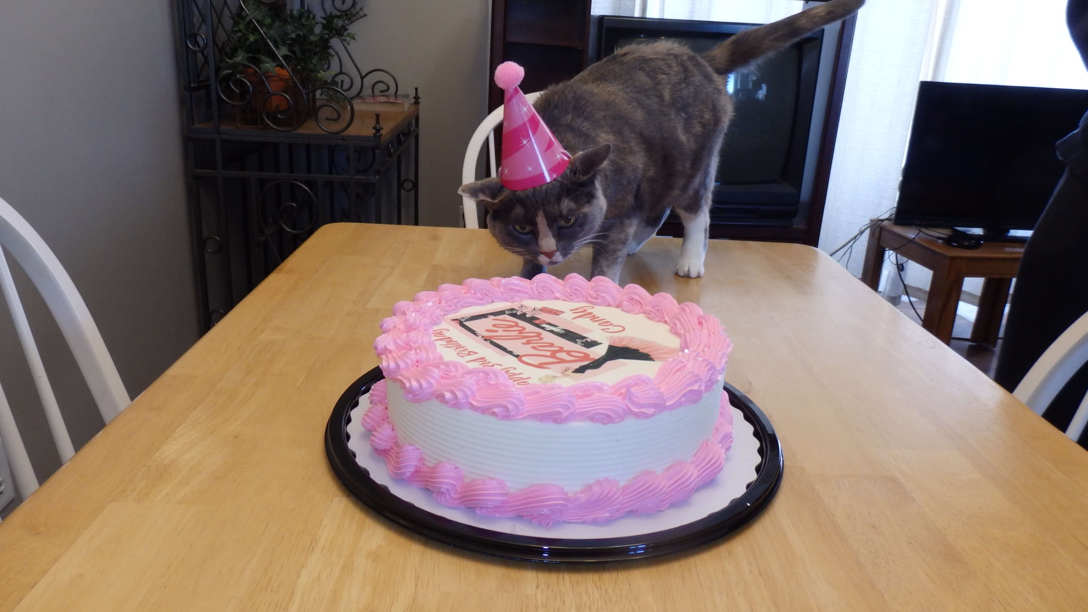 Candy's birthday celebration